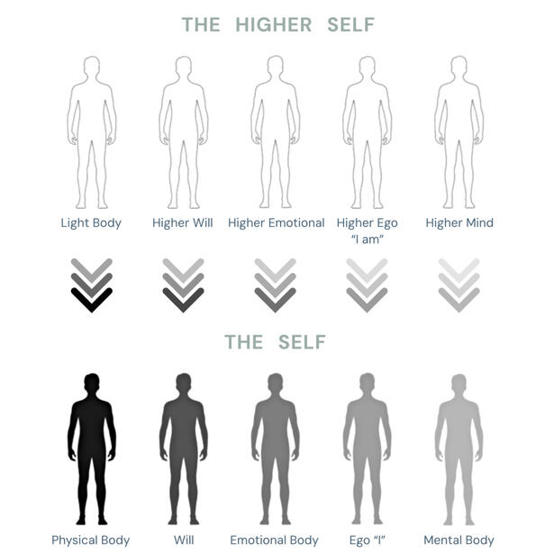 Healing Alignment